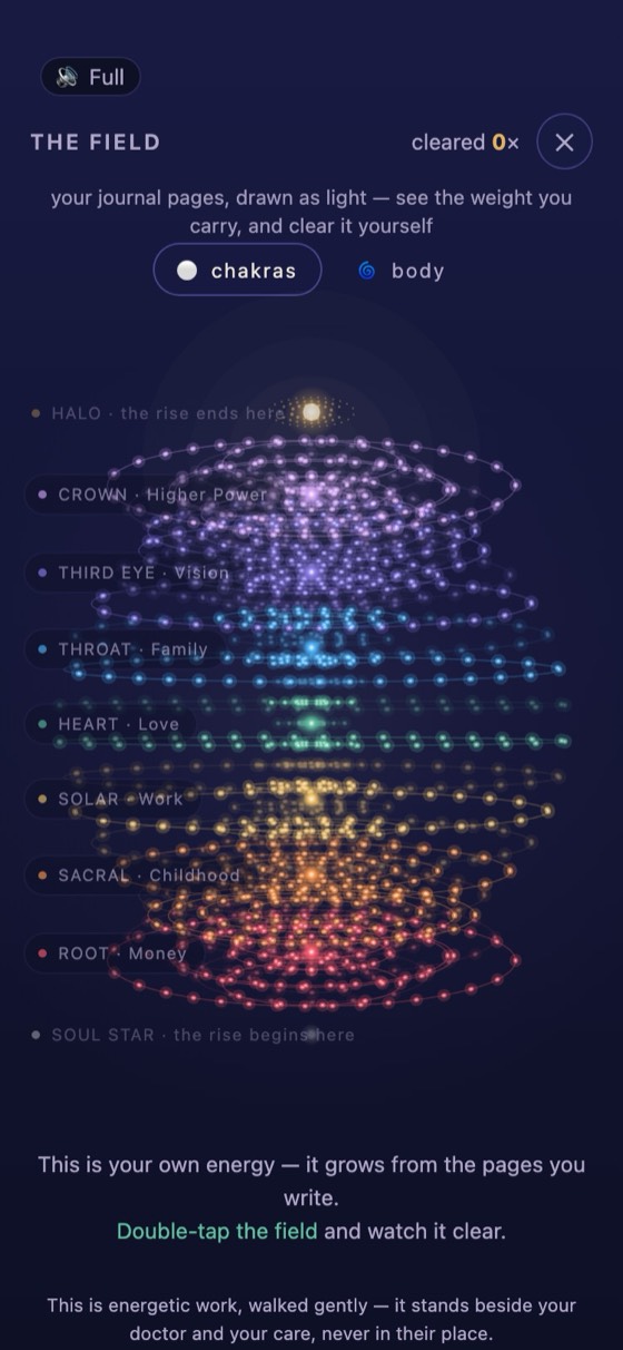 Your Field: seven rings of colored light, the energy you carry